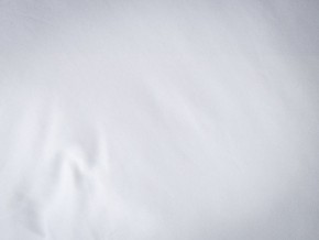 PROxSON Подушка Terra Duo (Сатин Ткань) 50x70 в Магнитогорске - magnitogorsk.mebel24.online | фото 9