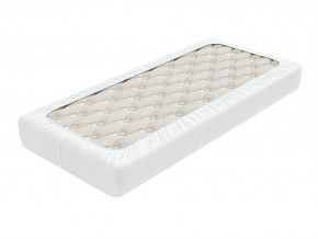 PROxSON Защитный чехол Aqua Save Light S (Ткань влагостойкая Tencel Jersey) 160x190 в Магнитогорске - magnitogorsk.mebel24.online | фото 2
