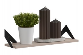 РИЧ Полка навесная в Магнитогорске - magnitogorsk.mebel24.online | фото 3