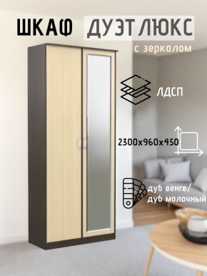 Шкаф 2-х створчатый Дуэт Люкс с зеркалом в Магнитогорске - magnitogorsk.mebel24.online | фото