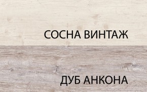 Шкаф 2DG2S, MONAKO, цвет Сосна винтаж/дуб анкона в Магнитогорске - magnitogorsk.mebel24.online | фото