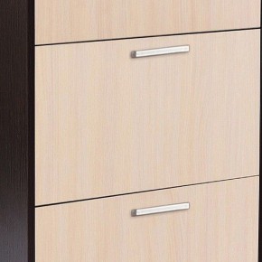 Шкаф для обуви УК-4 в Магнитогорске - magnitogorsk.mebel24.online | фото 2