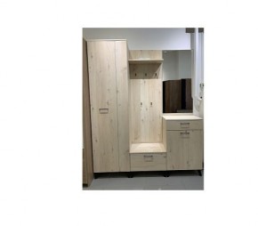 Шкаф для одежды 2-х дверный София 1 в Магнитогорске - magnitogorsk.mebel24.online | фото 6