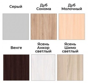 Шкаф-купе ХИТ 22-18-888 (620) в Магнитогорске - magnitogorsk.mebel24.online | фото 3