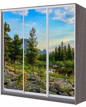 Шкаф-купе ХИТ 22-4-18/2-777 ПРИРОДА в Магнитогорске - magnitogorsk.mebel24.online | фото