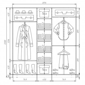 Шкаф-купе ХИТ 22-4-20-111 (420) в Магнитогорске - magnitogorsk.mebel24.online | фото 2