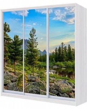 Шкаф-купе ХИТ 22-4-20-777 ПРИРОДА в Магнитогорске - magnitogorsk.mebel24.online | фото