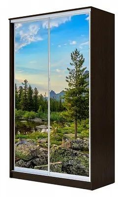 Шкаф-купе ХИТ 23-14-77 ПРИРОДА в Магнитогорске - magnitogorsk.mebel24.online | фото