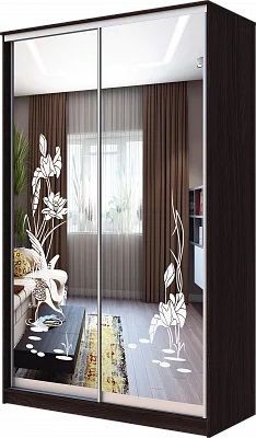 Шкаф-купе ХИТ 23-4-12-66 ЦАПЛИ в Магнитогорске - magnitogorsk.mebel24.online | фото