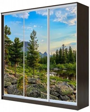Шкаф-купе ХИТ 23-4-18-777 ПРИРОДА в Магнитогорске - magnitogorsk.mebel24.online | фото