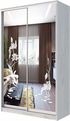 Шкаф-купе ХИТ 24-14-66 ЦАПЛИ в Магнитогорске - magnitogorsk.mebel24.online | фото