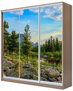 Шкаф-купе ХИТ 24-18-777 ПРИРОДА в Магнитогорске - magnitogorsk.mebel24.online | фото