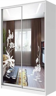 Шкаф-купе ХИТ 24-4-15-66 ЦАПЛИ в Магнитогорске - magnitogorsk.mebel24.online | фото