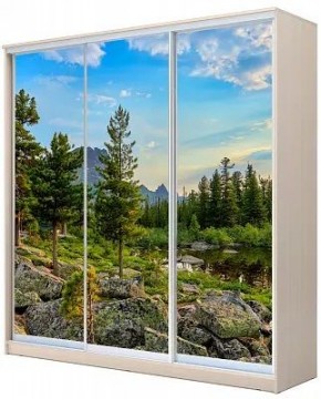 Шкаф-купе ХИТ 24-4-20-777 ПРИРОДА в Магнитогорске - magnitogorsk.mebel24.online | фото