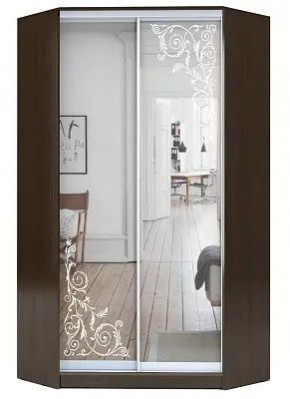 Шкаф-купе ХИТ-У-R-22-64-66 ОРНАМЕНТ в Магнитогорске - magnitogorsk.mebel24.online | фото