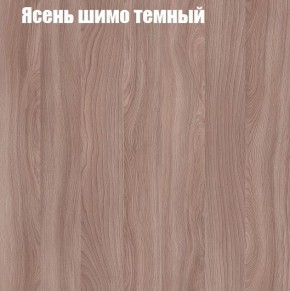 Шкаф-купе «ТАНДЕМ» 2-х дверный в алюминиевом профиле (Дверь ЛДСП+Z) 1800/h2200 в Магнитогорске - magnitogorsk.mebel24.online | фото 7