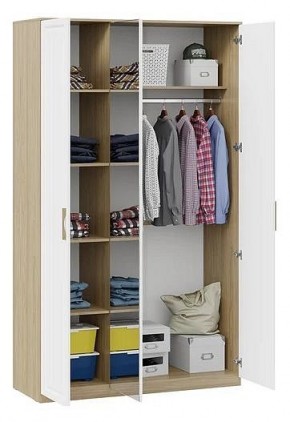 Шкаф платяной Сэнди в Магнитогорске - magnitogorsk.mebel24.online | фото 3