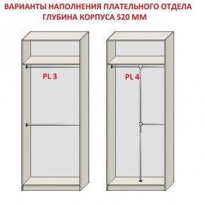 Шкаф распашной серия «ЗЕВС» (PL3/С1/PL2) в Магнитогорске - magnitogorsk.mebel24.online | фото 10