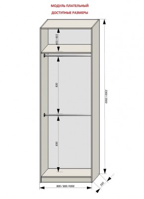 Шкаф распашной серия «ЗЕВС» (PL3/С1/PL2) в Магнитогорске - magnitogorsk.mebel24.online | фото 12