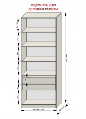 Шкаф распашной серия «ЗЕВС» (PL3/С1/PL2) в Магнитогорске - magnitogorsk.mebel24.online | фото 13