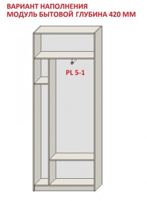 Шкаф распашной серия «ЗЕВС» (PL3/С1/PL2) в Магнитогорске - magnitogorsk.mebel24.online | фото 4