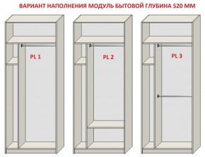 Шкаф распашной серия «ЗЕВС» (PL3/С1/PL2) в Магнитогорске - magnitogorsk.mebel24.online | фото 5