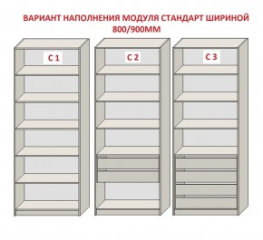 Шкаф распашной серия «ЗЕВС» (PL3/С1/PL2) в Магнитогорске - magnitogorsk.mebel24.online | фото 6