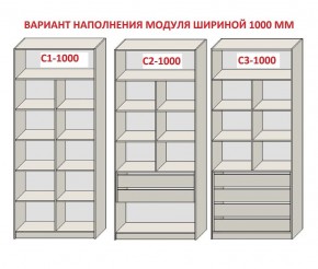 Шкаф распашной серия «ЗЕВС» (PL3/С1/PL2) в Магнитогорске - magnitogorsk.mebel24.online | фото 7