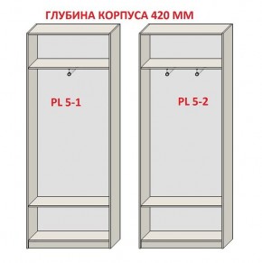 Шкаф распашной серия «ЗЕВС» (PL3/С1/PL2) в Магнитогорске - magnitogorsk.mebel24.online | фото 8