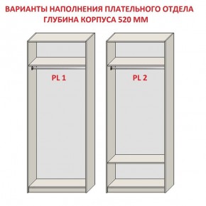 Шкаф распашной серия «ЗЕВС» (PL3/С1/PL2) в Магнитогорске - magnitogorsk.mebel24.online | фото 9