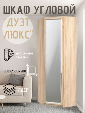 Шкаф угловой Дуэт Люкс с зеркалом в Магнитогорске - magnitogorsk.mebel24.online | фото 1