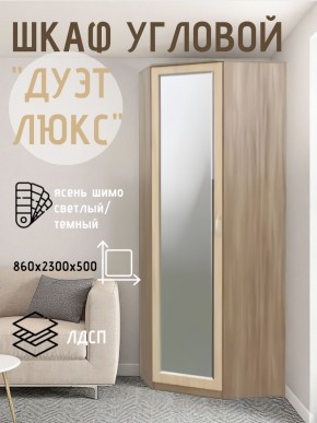 Шкаф угловой Дуэт Люкс с зеркалом в Магнитогорске - magnitogorsk.mebel24.online | фото 3