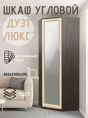 Шкаф угловой Дуэт Люкс с зеркалом в Магнитогорске - magnitogorsk.mebel24.online | фото 5