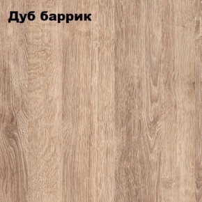 ГРАФ Стеллаж (дуб баррик) в Магнитогорске - magnitogorsk.mebel24.online | фото 2