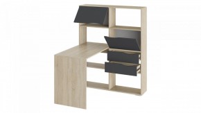 Стол компьютерный Тип 7 в Магнитогорске - magnitogorsk.mebel24.online | фото 2