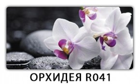 Стол обеденный Трилогия с фотопечатью K-7 в Магнитогорске - magnitogorsk.mebel24.online | фото 6