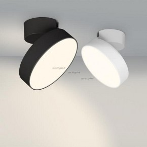 Светильник на штанге Arlight SP-RONDO-FLAP-R210-20W Day4000 (BK, 110 deg) 026453 в Магнитогорске - magnitogorsk.mebel24.online | фото 3