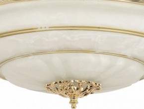 Светильник на штанге Arti Lampadari Pavia Pavia E 1.13.P40 G в Магнитогорске - magnitogorsk.mebel24.online | фото 3
