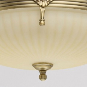 Светильник на штанге MW-Light Афродита 1 317011504 в Магнитогорске - magnitogorsk.mebel24.online | фото 4