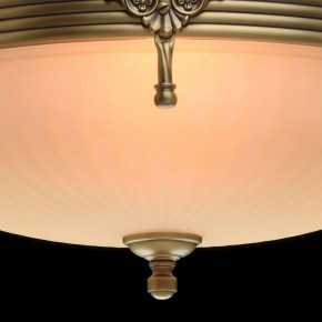Светильник на штанге MW-Light Афродита 1 317011504 в Магнитогорске - magnitogorsk.mebel24.online | фото 5