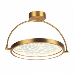 Светильник на штанге Odeon Light Solaris 6627/36CL в Магнитогорске - magnitogorsk.mebel24.online | фото 3