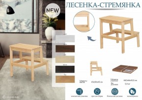 Табурет Стремянка в Магнитогорске - magnitogorsk.mebel24.online | фото 6