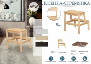 Табурет Стремянка в Магнитогорске - magnitogorsk.mebel24.online | фото 3