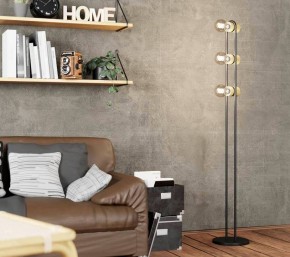 Торшер Eglo ПРОМО Chieveley 43544 в Магнитогорске - magnitogorsk.mebel24.online | фото 2