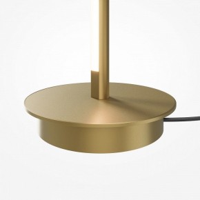 Торшер Maytoni Thin MOD395FL-L28BS3K в Магнитогорске - magnitogorsk.mebel24.online | фото 7