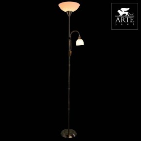 Торшер с подсветкой Arte Lamp Duetto A9569PN-2AB в Магнитогорске - magnitogorsk.mebel24.online | фото 3