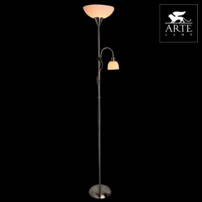 Торшер с подсветкой Arte Lamp Duetto A9569PN-2SS в Магнитогорске - magnitogorsk.mebel24.online | фото 3