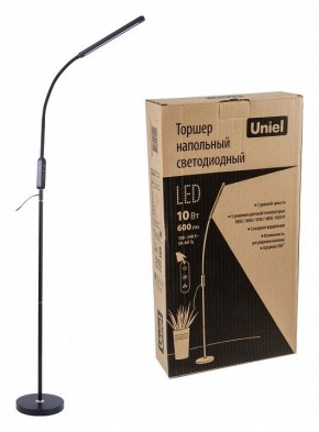 Торшер Uniel ULM-T619 UL-00010178 в Магнитогорске - magnitogorsk.mebel24.online | фото 2