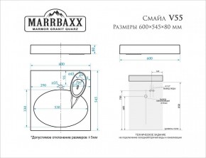 Умывальник над стиральной машиной (600*545*80) Смайл V55D1 (белый) с кронштейном без сифона (V55D1) в Магнитогорске - magnitogorsk.mebel24.online | фото 2